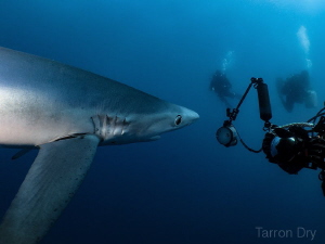 Hello! by Tarron Dry 